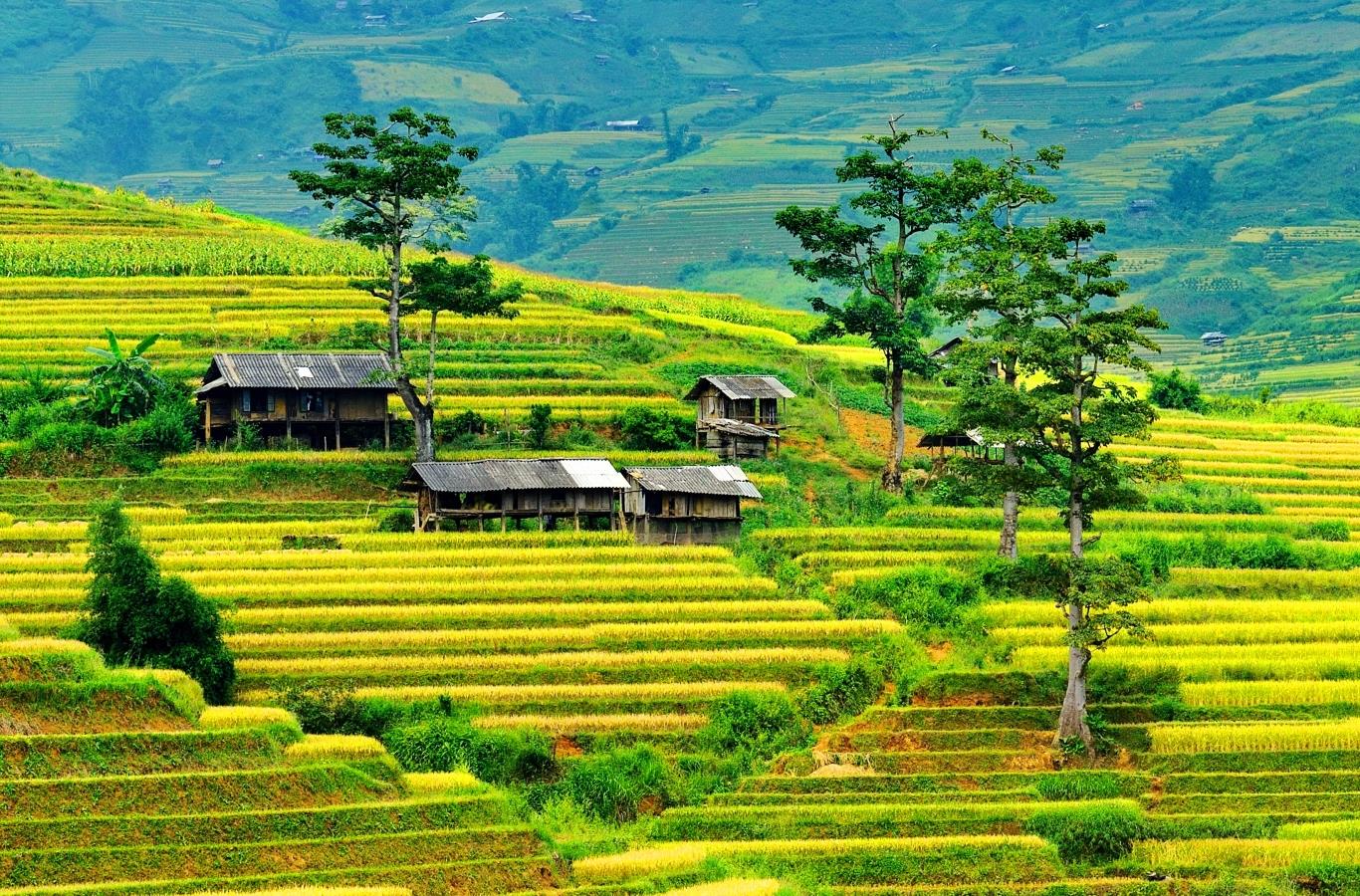 Вьетнам village