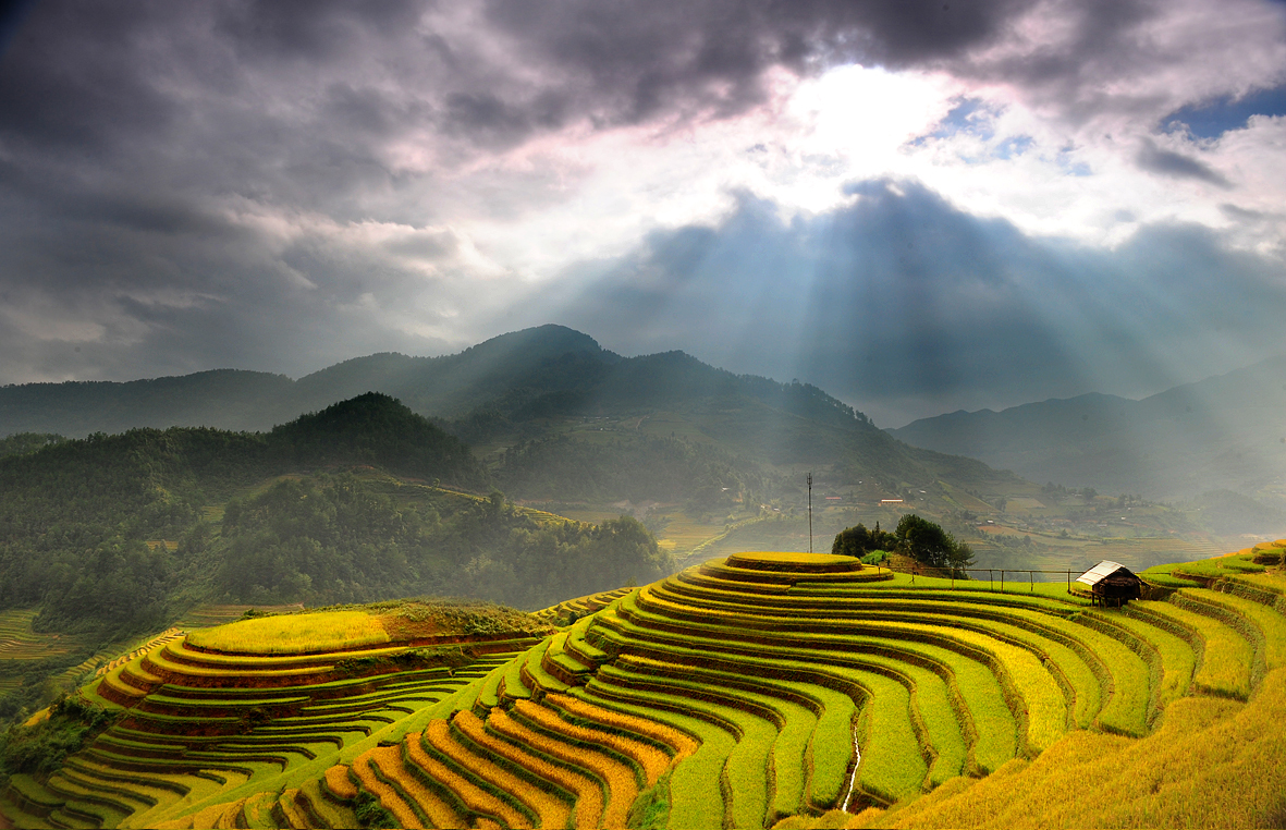 Ruộng bậc thang Hoàng Su Phì