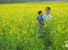 du lịch hà nội