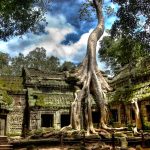 den-Ta-Prohm-hinh-anh-1