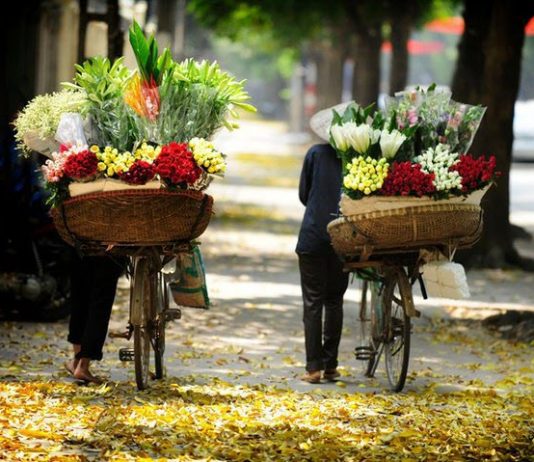 du lịch hà nội