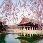 Cung-kham-pha-ve-dep-tham-lang-cua-cung-dien-Hoang-gia-Gyeongbokgung5